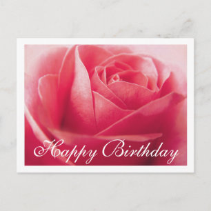 Happy Birthday Pink Rose  Greeting Postcard