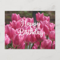 Happy Birthday Pink Tulip Flowers 