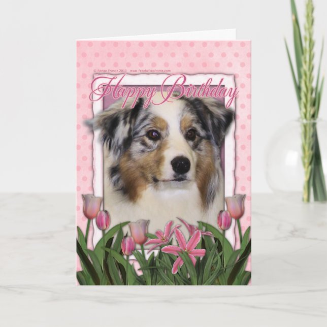 Happy Birthday - Pink Tulips - Australian Shepherd Card (Front)