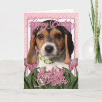 Happy Birthday - Pink Tulips - Beagle Puppy