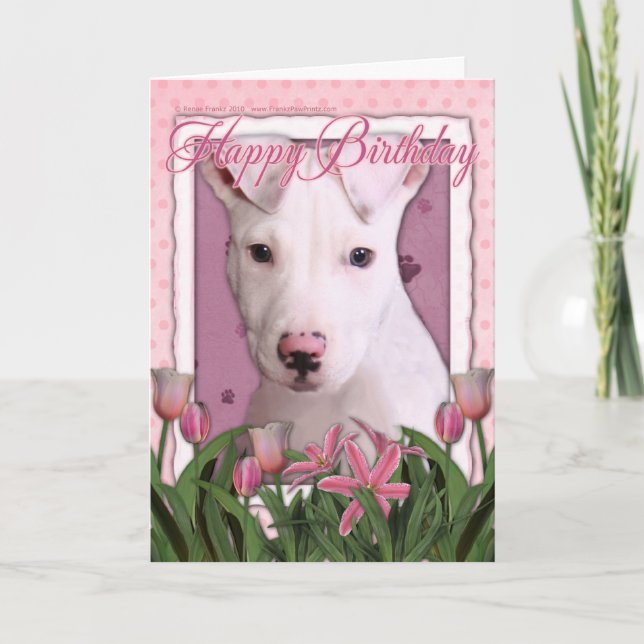 Happy Birthday - Pitbull - Petey Card (Front)