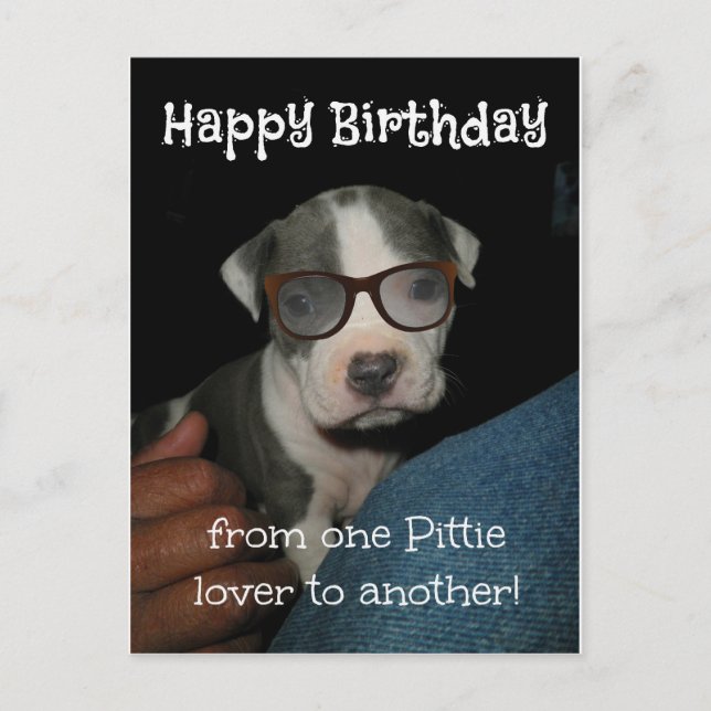 Happy Birthday Pittie Postcard (Front)