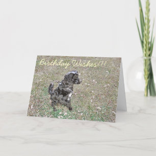 Happy Birthday Pooch! Card