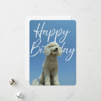 Happy Birthday Poodle Dog Lover Greeting Card