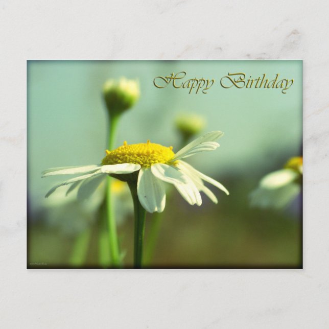 Happy birthday postcard (Front)