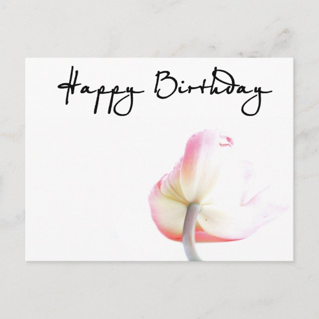 Happy Birthday! Postcard (Front)