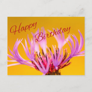Happy Birthday! Postcard