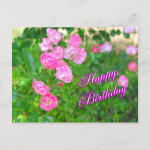 happy birthday postcard