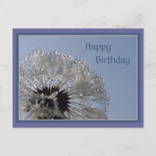 Happy Birthday Postcard