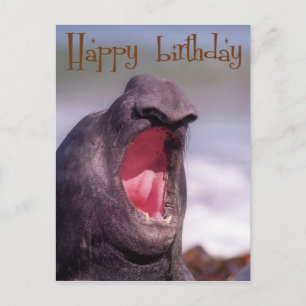 happy birthday postcard