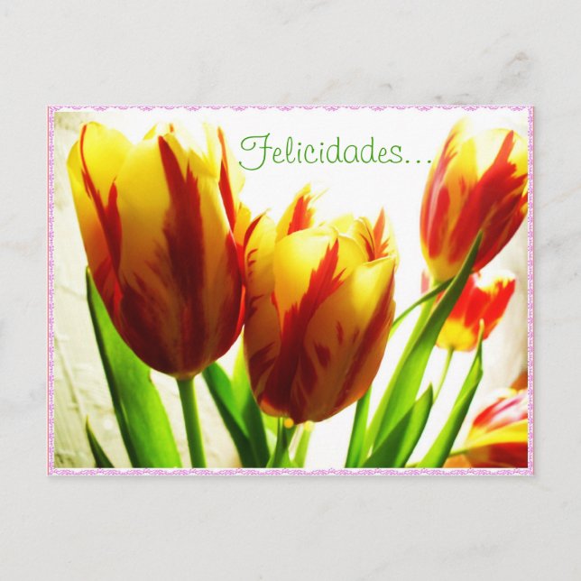 Happy Birthday Postcard (Front)