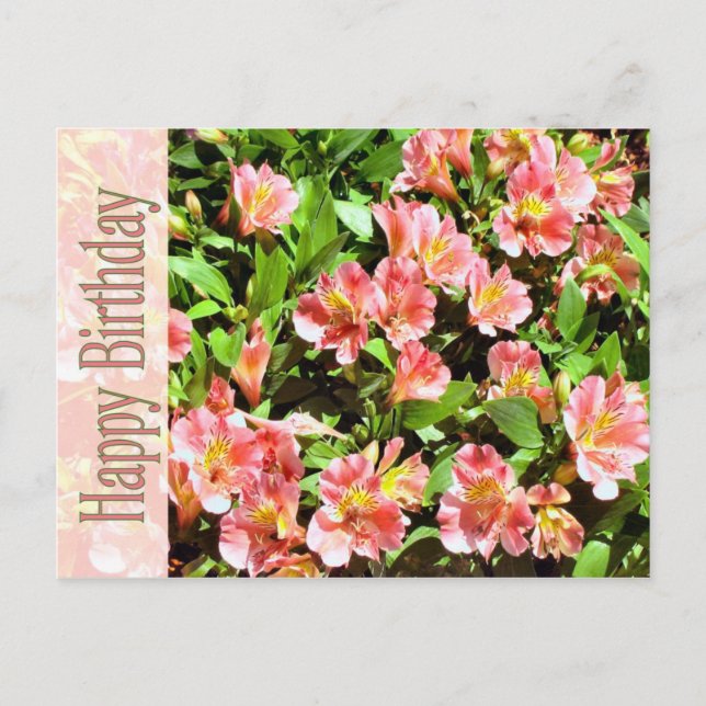 happy birthday postcard (Front)