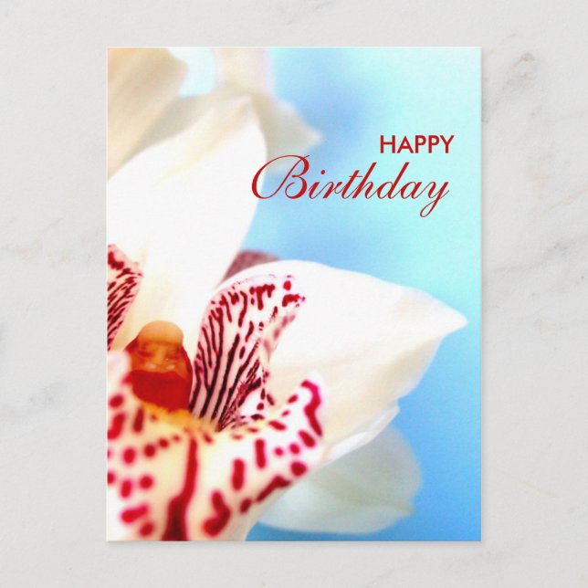 Happy Birthday Postcard (Front)