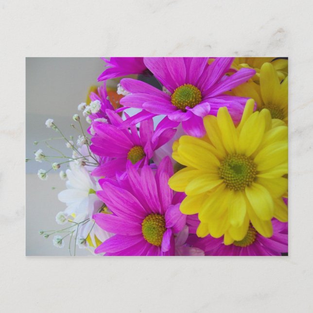 Happy Birthday!!! Postcard (Front)