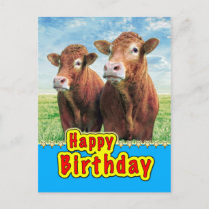 Happy Birthday Postcard