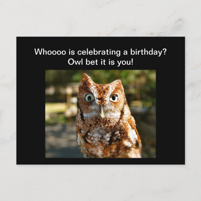 Happy Birthday Postcard Eastern Screech Owl (Front)