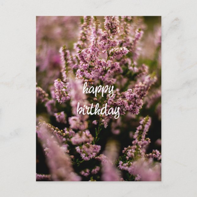 Happy Birthday Postcard Heather Flowers Photograph (Front)