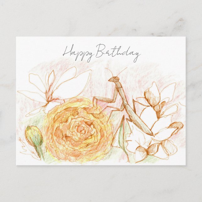 Happy Birthday Praying Mantis Garden Bug  Postcard (Front)