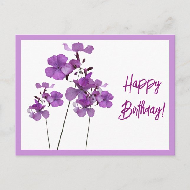Happy Birthday pretty purple wild flowers floral Postcard (Front)