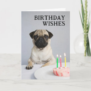 Happy Birthday Pug Card