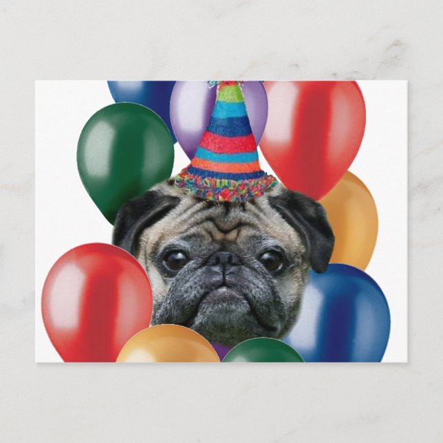 Happy birthday Pug dog Postcard (Front)