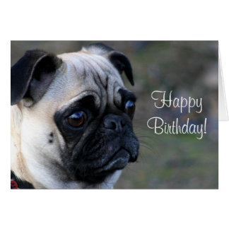 RHB-9008 Pug With Bow - Happy Birthday – Rigel Paper - View #4