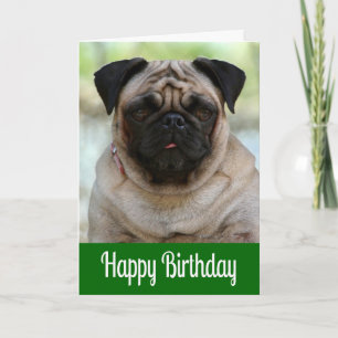 Happy Birthday Pug Puppy Dog Green Greeting Card