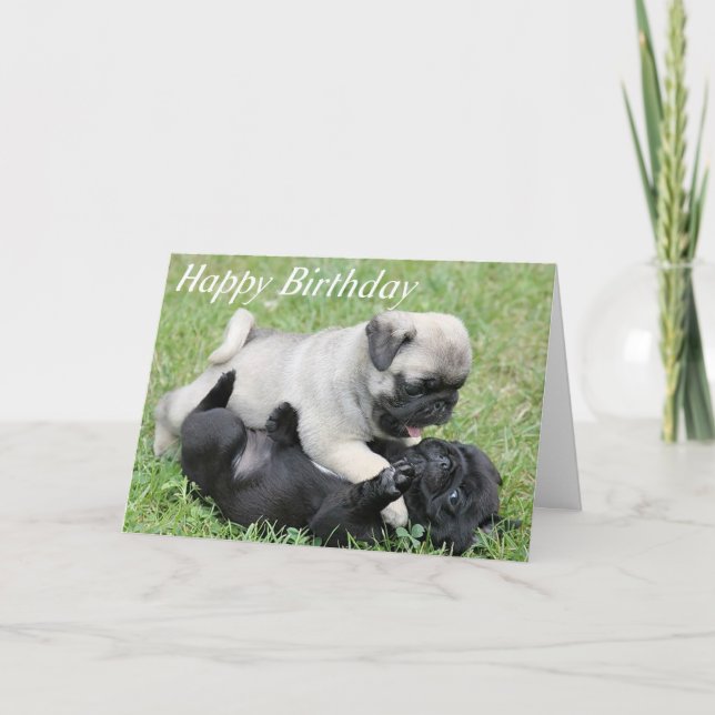 Happy Birthday Pug Puppy Dog Greeting Card (Front)
