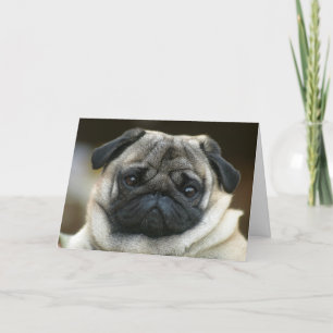 Happy Birthday Pug Puppy Dog Greeting Card - Verse