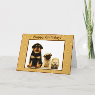 Happy Birthday puppies greeting card