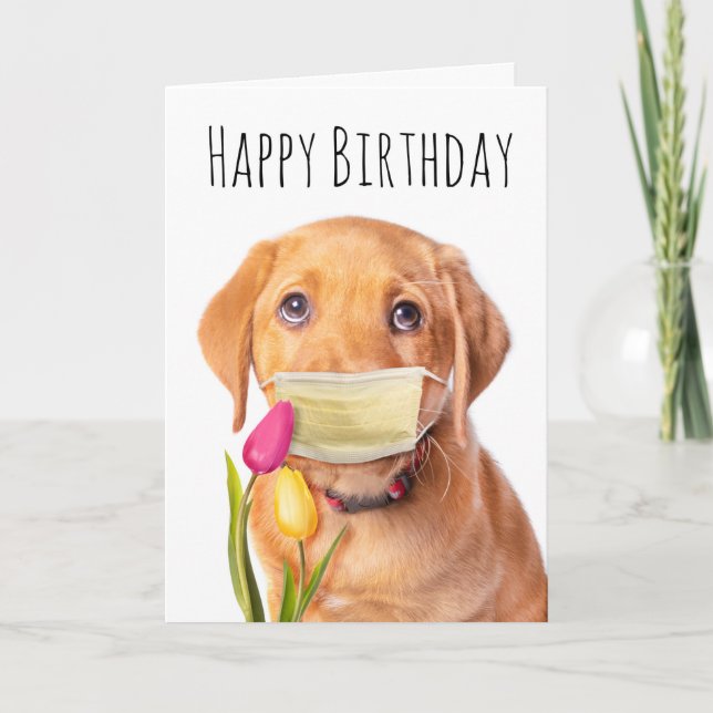 Happy Birthday Puppy in Covid-19 Face Mask Humour Holiday Card (Front)