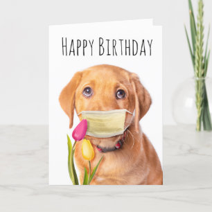 Happy Birthday Puppy in Covid-19 Face Mask Humour Holiday Card