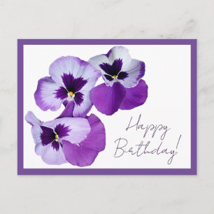 Happy Birthday purple pansy flowers boho Postcard