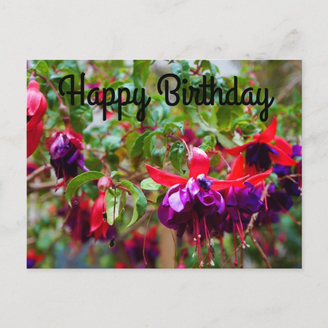 Happy Birthday Red and Purple Fuchsia #2 Postcard (Front)