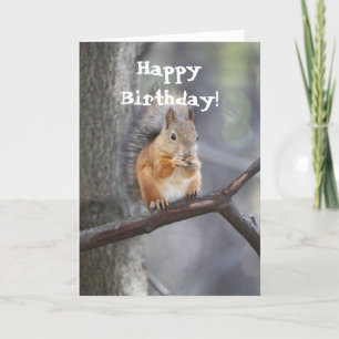 Happy Birthday Red Squirrel Greeting card