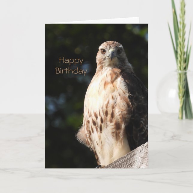 Happy Birthday Red Tail Hawk Card (Front)