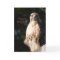 Happy Birthday Red Tail Hawk