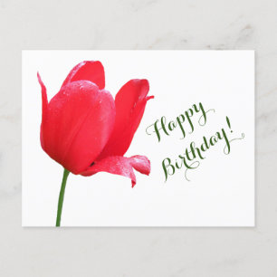 Happy Birthday red tulip minimalist floral boho Postcard