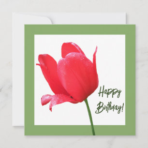 Happy Birthday red tulip trendy floral beautiful Card