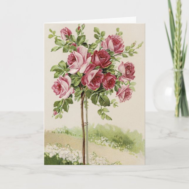 Happy Birthday Rose tree Card (Front)