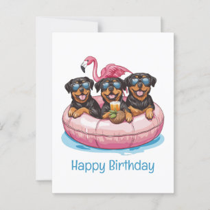 Happy Birthday Rottweiler Dogs Flamingo Pool Tube Postcard