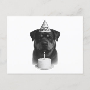 Happy Birthday Rottweiler Holiday Postcard