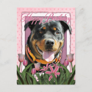 Happy Birthday - Rottweiler - SambaParTi Postcard