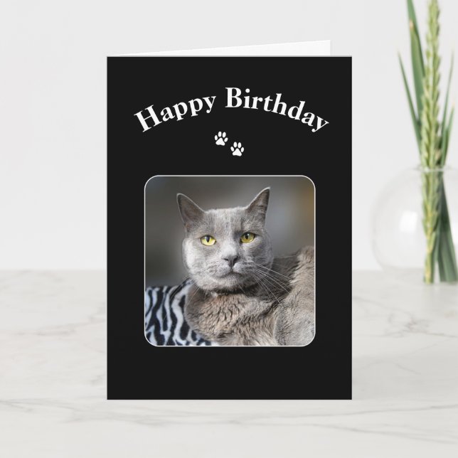 Happy Birthday Russian Blue Cat Card (Front)