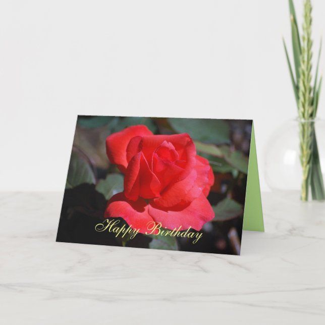 Happy Birthday Scarlet Rose Card (Front)