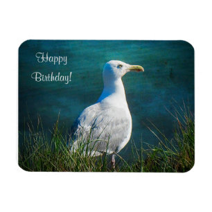 Happy Birthday Seagull Magnet