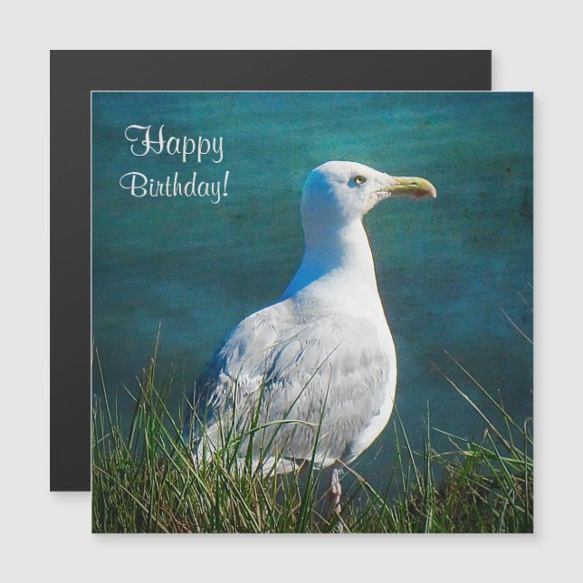 Happy Birthday Seagull Magnetic Card (Front/Back)