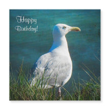 Happy Birthday Seagull Magnetic Card