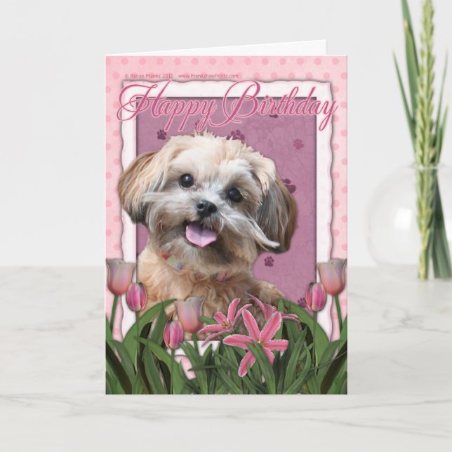 Happy Birthday - ShihPoo - Maggie Card (Front)