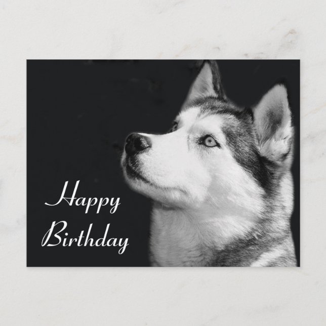 Happy Birthday Siberian Husky Puppy Dog Post Card (Front)
